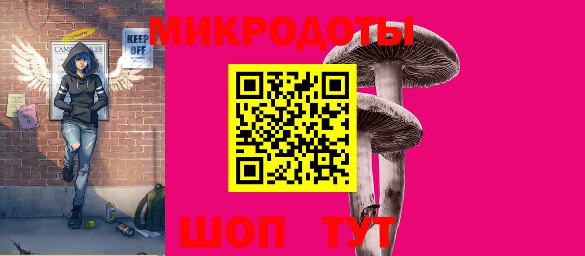 Галлюциногенные грибы прущие грибы Великий Новгород